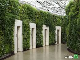 کاربرد دیوار سبز در مدارس